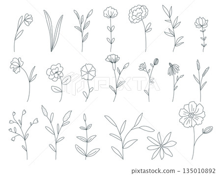 Hand drawn set of simple flowers, wildflowers and herbs Hand drawn set of simple flowers, wildflowers and herbs 135010892