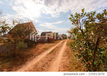 Landscape with a road passing through a deserted summer cottage village. 135011670