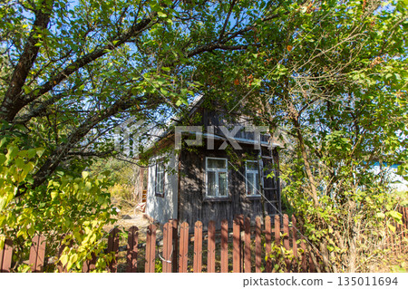 A small wooden country house on a summer street. The house is old and abandoned. 135011694
