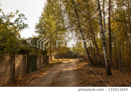 Landscape with a road passing through a deserted summer cottage village. Landscape with a road passing through a deserted summer cottage village. 135011695