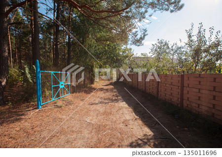 Landscape with a road passing through a deserted summer cottage village. 135011696