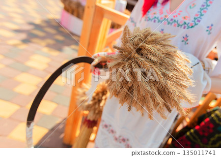 A woman is holding a bunch of straw in her hand. The straw is brown and is tied together A woman is holding a bunch of straw in her hand. The straw is brown and is tied together 135011741