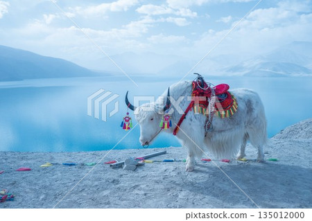 白沙湖與犛牛：藍色世界（中國新疆維吾爾自治區） 135012000