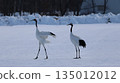 January 4, 2026: Photographing a crane at Tsurumidai 135012012