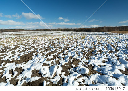 Melting snow on a rural plowed field, view on a sunny winter day Melting snow on a rural plowed field, view on a sunny winter day 135012047