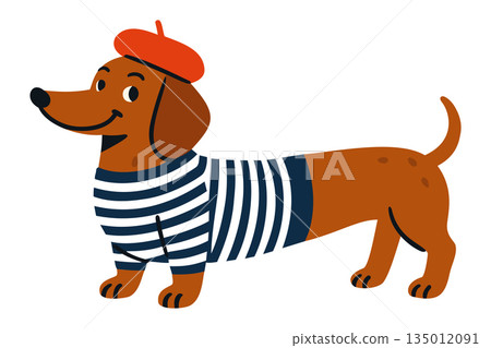 Long funny stylish dachshund wearing classic French style outfit with bright red beret and navy blue and white striped shirt Long funny stylish dachshund wearing classic French style outfit with bright red beret and navy blue and white striped shirt 135012091