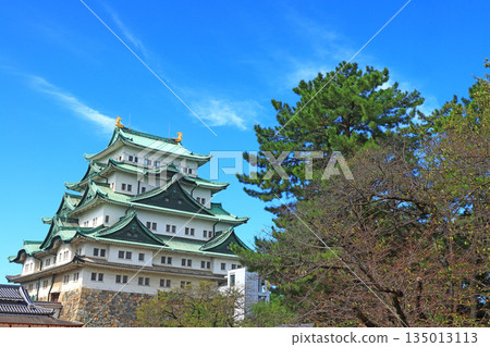 愛知縣名古屋市名古屋城景觀 愛知縣名古屋市名古屋城景觀 135013113