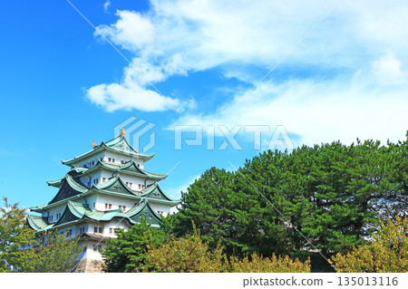 View of Nagoya Castle, Nagoya City, Aichi Prefecture View of Nagoya Castle, Nagoya City, Aichi Prefecture 135013116