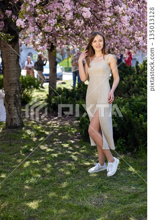 Spring greenery, Cherry bloom, Spring scene. Standing under cherry trees in full bloom, young woman in light dress enjoys park's spring greenery and soft, warm light. Spring greenery, Cherry bloom, Spring scene. Standing under cherry trees in full bloom, young woman in light dress enjoys park's spring greenery and soft, warm light. 135013128