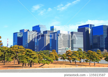 東京千代田區皇居花園和建築物的風景 東京千代田區皇居花園和建築物的風景 135013587