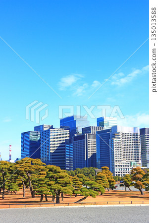 東京千代田區皇居花園和建築物的風景 東京千代田區皇居花園和建築物的風景 135013588