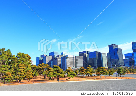 東京千代田區皇居花園和建築物的風景 東京千代田區皇居花園和建築物的風景 135013589
