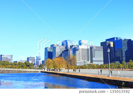 東京千代田區皇居花園和建築物的風景 135013592