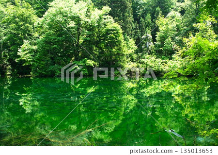 Ryugakubo Pond, the legendary pond of the dragon god Ryugakubo Pond, the legendary pond of the dragon god 135013653