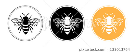 Honey Bee vector design templete.  135013764