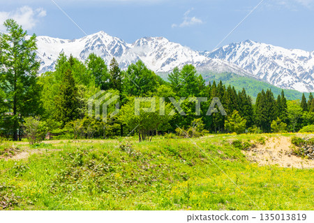長野縣白馬村初夏：桐生川步道及白馬三山沿途綠意盎然 135013819