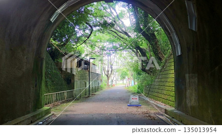 Fresh greenery and a quiet path beyond the tunnel 135013954