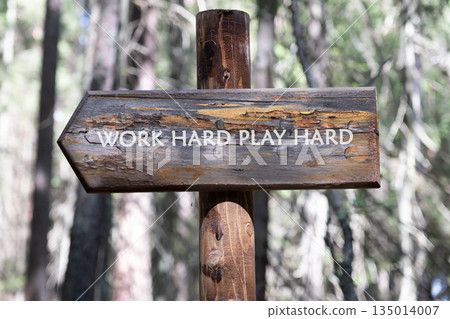 A rustic wooden sign, weathered and aged, displays the phrase Work Hard Play Hard in a forest setting. The arrow points towards an adventurous journey, embraced by trees A rustic wooden sign, weathered and aged, displays the phrase Work Hard Play Hard in a forest setting. The arrow points towards an adventurous journey, embraced by trees 135014007