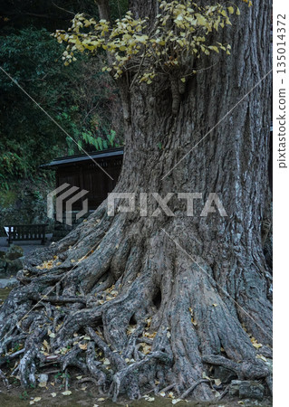 Awa Shrine, Chiba Prefecture 135014372