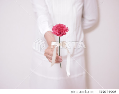 康乃馨的女人 135014906