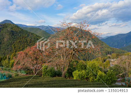 寧靜的山村風光 135014913