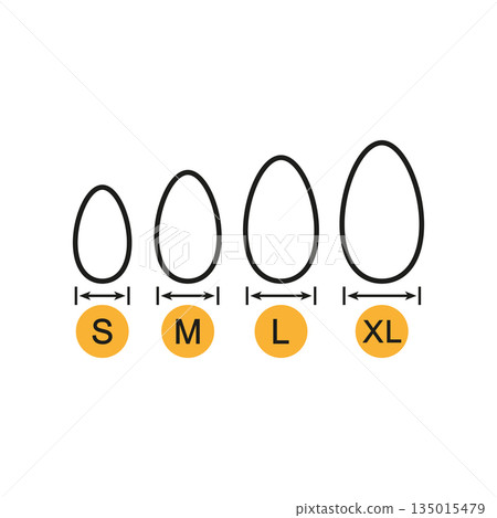 Egg sizes. Set of vector illustrations with arrows and eggs. Drawing on a white background. Egg sizes. Set of vector illustrations with arrows and eggs. Drawing on a white background. 135015479