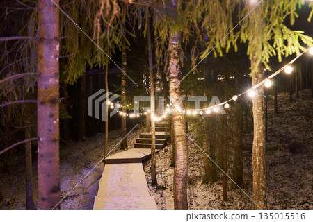 Enchanting stringlit trail through snowy woods under evening sky 135015516