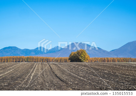 Tokachi Plain in Autumn -The Magnificent Northern Land- Tokachi Plain in Autumn -The Magnificent Northern Land- 135015553