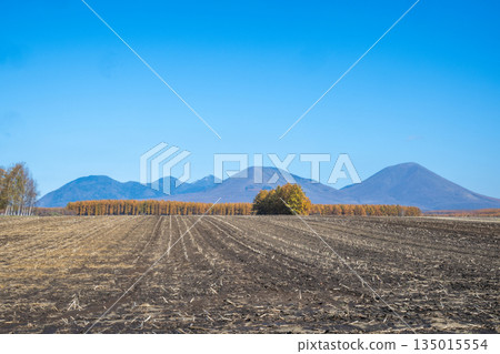 Tokachi Plain in Autumn -The Magnificent Northern Land- 135015554