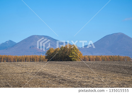 Tokachi Plain in Autumn -The Magnificent Northern Land- Tokachi Plain in Autumn -The Magnificent Northern Land- 135015555