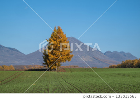 Tokachi Plain in Autumn -The Magnificent Northern Land- Tokachi Plain in Autumn -The Magnificent Northern Land- 135015563