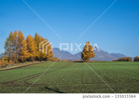 Tokachi Plain in Autumn -The Magnificent Northern Land- Tokachi Plain in Autumn -The Magnificent Northern Land- 135015564