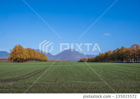 Tokachi Plain in Autumn -The Magnificent Northern Land- 135015572