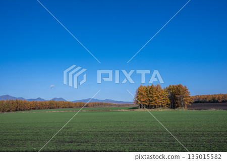 Tokachi Plain in Autumn -The Magnificent Northern Land- Tokachi Plain in Autumn -The Magnificent Northern Land- 135015582