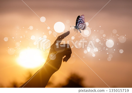Butterfly Resting on Finger Tip Against Golden Sunset Sky. Butterfly resting finger tip hand touch freedom inspiration nature concept hope serenity golden sunset sunrise silhouette sky background anim Butterfly Resting on Finger Tip Against Golden Sunset Sky. Butterfly resting finger tip hand touch freedom inspiration nature concept hope serenity golden sunset sunrise silhouette sky background anim 135015719