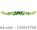 vine frame leaf vine isolates on a white background 135015720