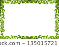 vine frame leaf vine isolates on a white background 135015721