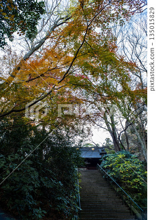 鎌倉 251223 妙本寺 7 秋葉 135015829