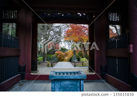 Kamakura 251223 Myohonji Temple 8 Autumn leaves Kamakura 251223 Myohonji Temple 8 Autumn leaves 135015830
