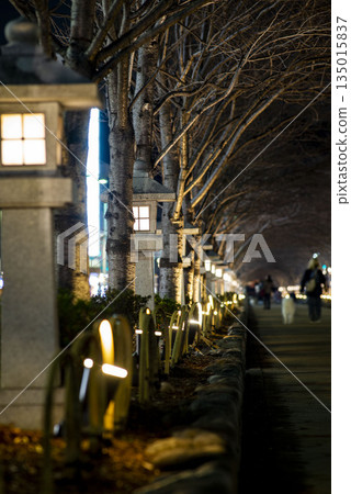 Kamakura 251223 Tsurugaoka Hachimangu Shrine 5 Dankutsuya 135015837