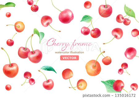 Watercolor cherry frame illustration, blank decorative material in the center, vector 135016172