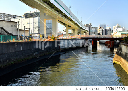 Toyokishi Bridge / Upstream from the Shakujii River / Looking towards Shinyanagibashi Bridge (Kita Ward, Tokyo) [December 2025] 135016203