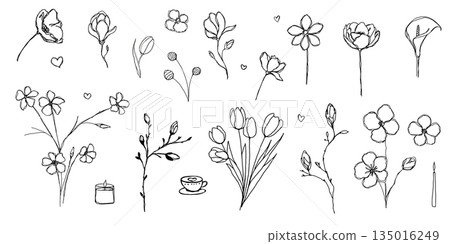 Hand drawn flowers. Doodle flowers and a bouquets of flowers. Floral set 135016249