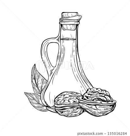 Monochrome natural walnut oil in glass bottle line art black ink sketch. Hand drawn whole peeled walnut kernel, leaves isolated illustration. Glassware with decorative cork and nuts for culinary 135016284