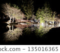 Ryusenji Temple Pond Illumination 135016365