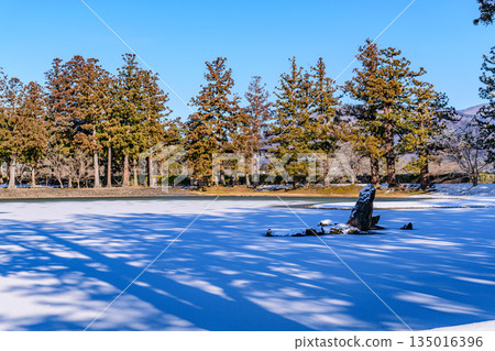 漫步在白雪皚皚的平泉 漫步在白雪皚皚的平泉 135016396