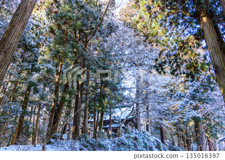 Walking through snowy Hiraizumi Walking through snowy Hiraizumi 135016397