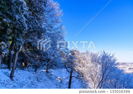 Walking through snowy Hiraizumi Walking through snowy Hiraizumi 135016399