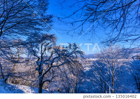 漫步在白雪皚皚的平泉 漫步在白雪皚皚的平泉 135016402
