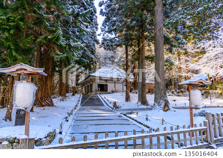 Walking through snowy Hiraizumi Walking through snowy Hiraizumi 135016404